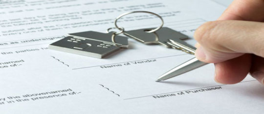immobilier neuf