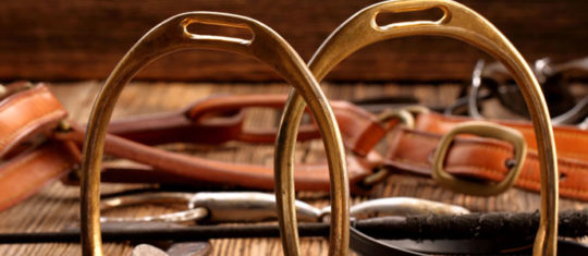 équipement de cheval